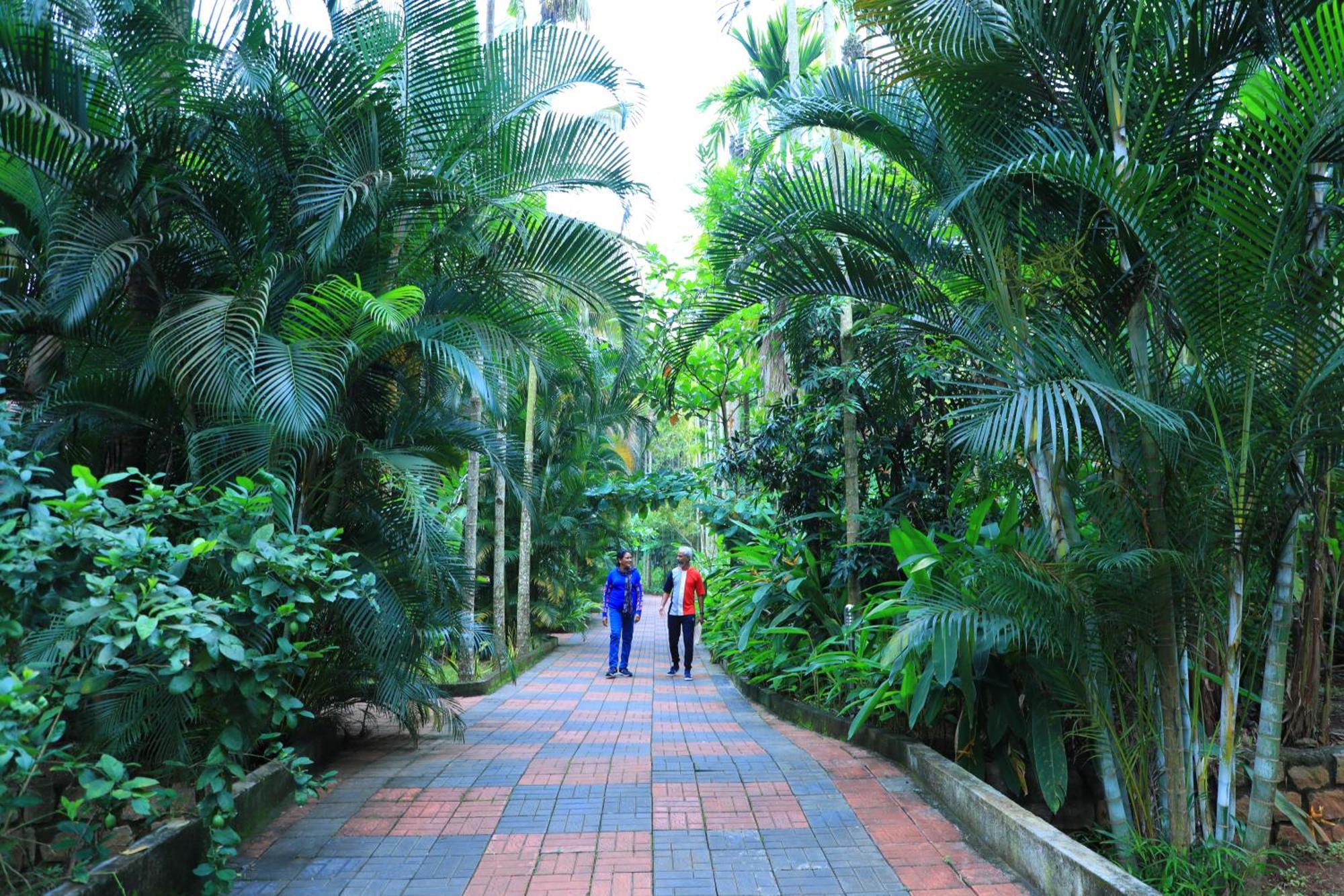 Parampara Resort & Spa, Coorg Kushālnagar المظهر الخارجي الصورة